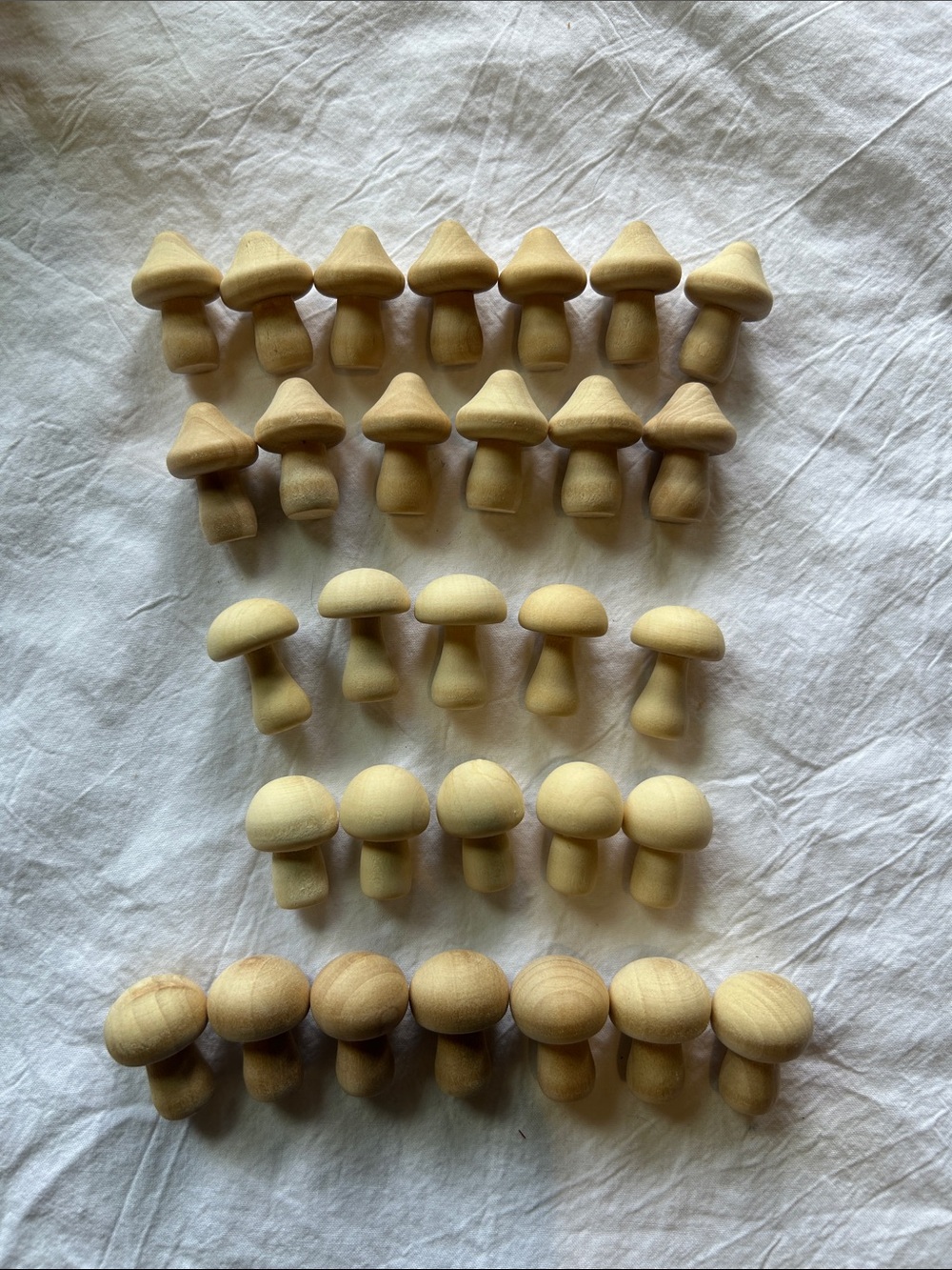 30 wood mushrooms 🍄